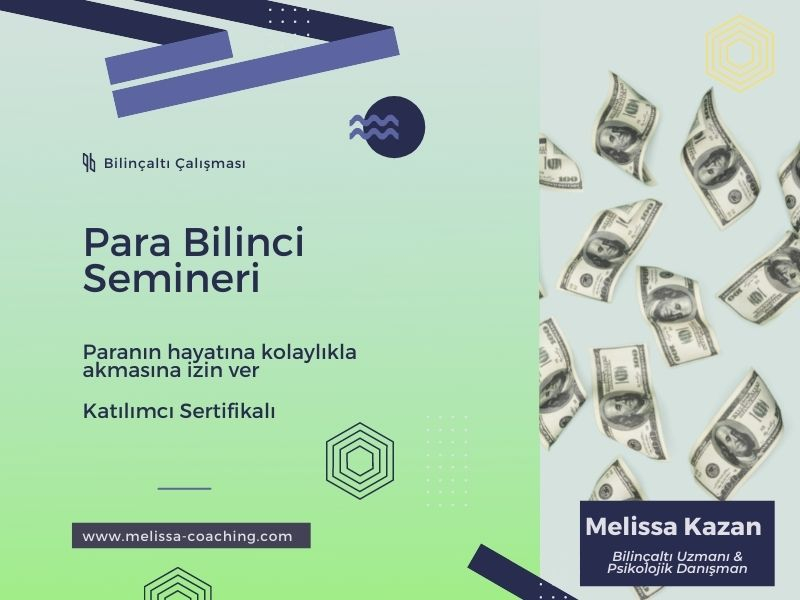 Para Semineri